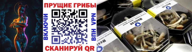 Галлюциногенные грибы прущие грибы  МЕГА маркетплейс  Новый Уренгой  закладки 