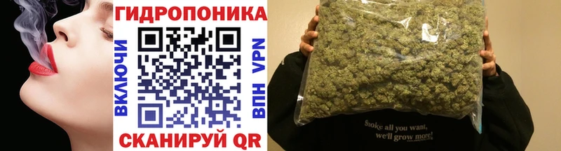 Конопля OG Kush  Новый Уренгой 